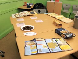 Tag der Offenen Tür 2026